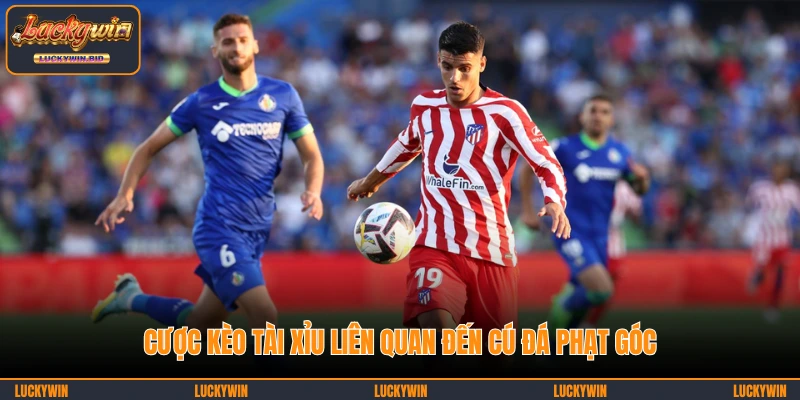 Cược kèo Tài Xỉu  liên quan đến cú đá phạt góc